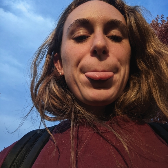 Meet your Posher, Cat - Picture 1 of 1